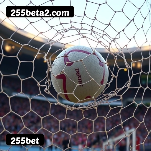 Vantagens exclusivas 255bet para jogadores brasileiros - São Paulo, Rio, BH