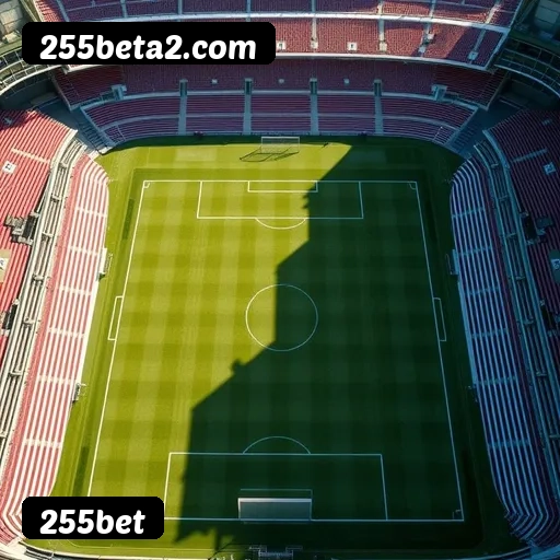 Comparação APP mobile vs versão web da 255bet